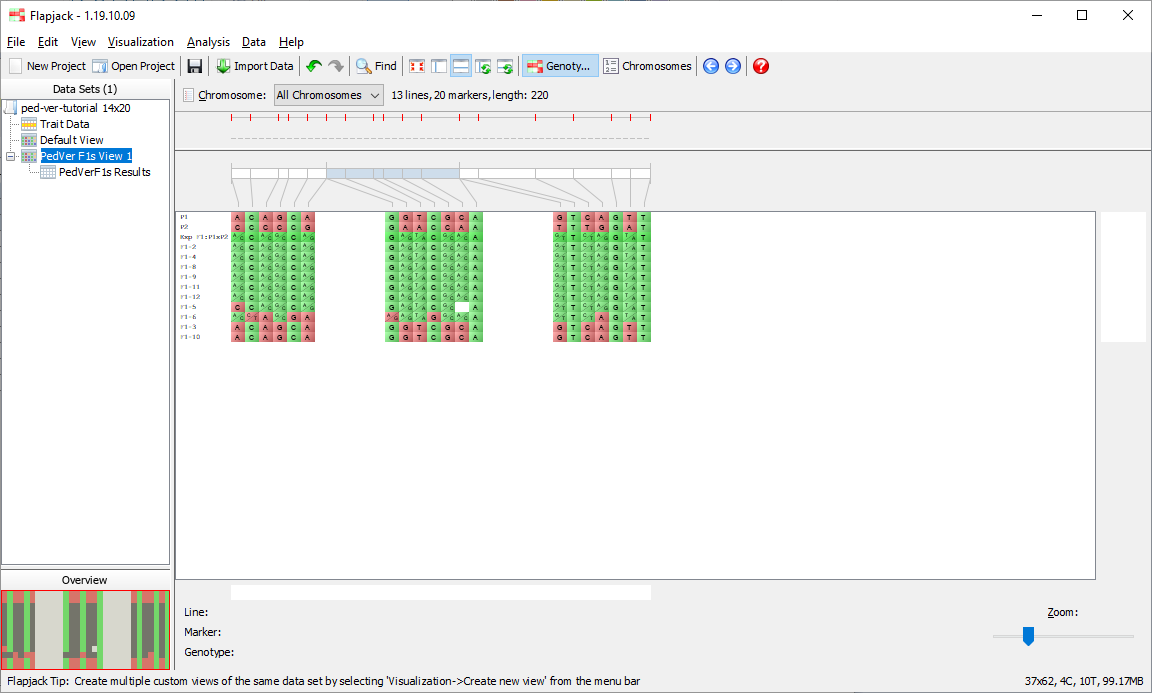 011-pv-sorted-genotypes
